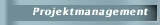 Projektmanagement
